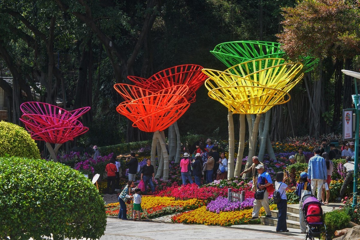 七彩云台  听见花开