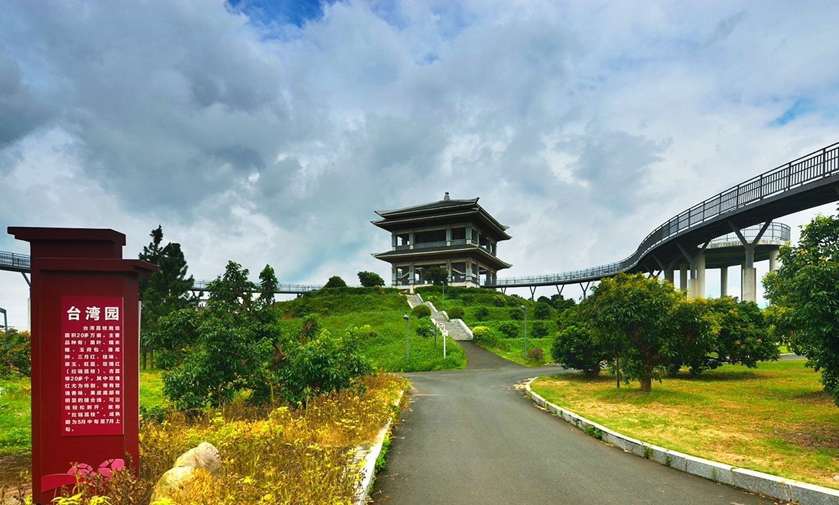 国家荔枝种质资源圃