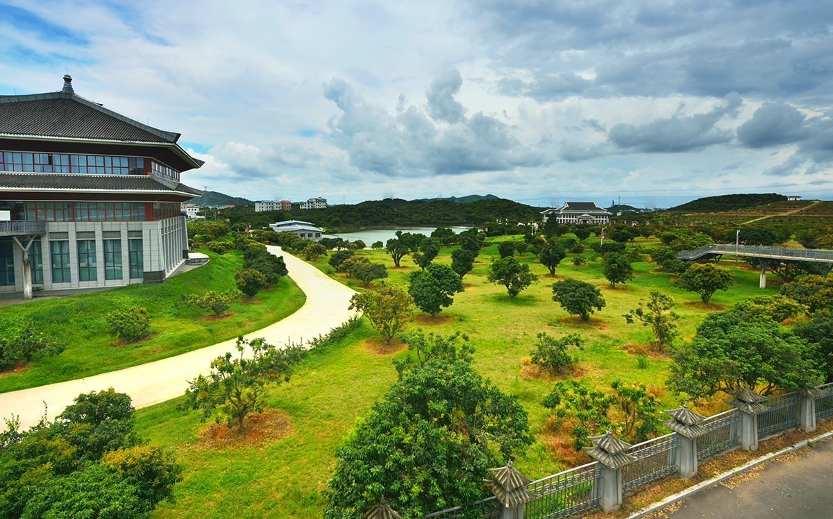 国家荔枝种质资源圃