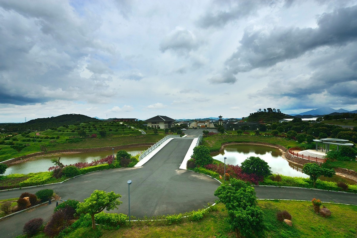 国家荔枝种质资源圃