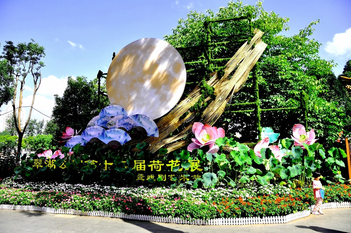 荷花