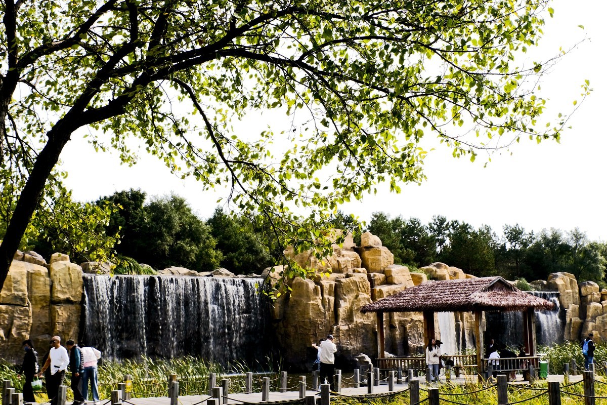 哈尔滨太阳岛公园（4）