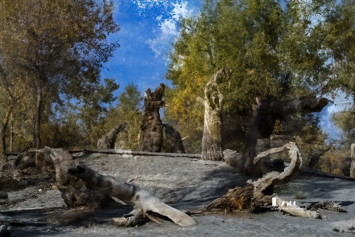 南疆行——阿克苏的刀郎部落（3）