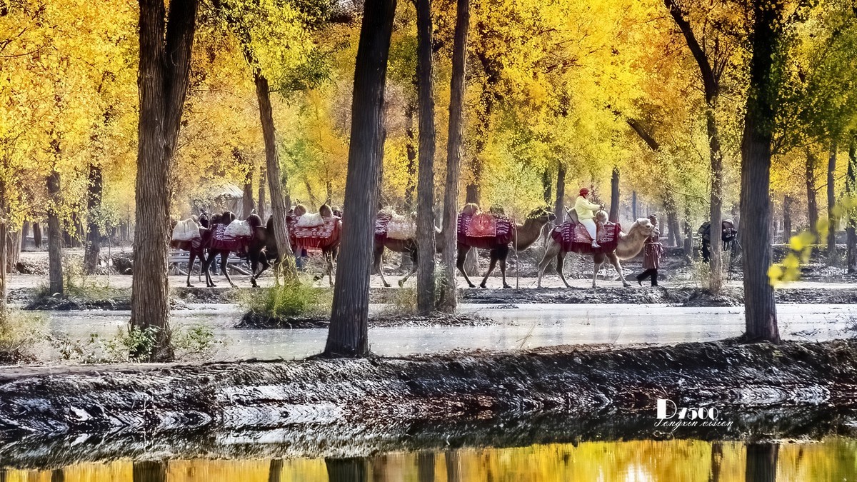 南疆行——阿克苏的刀郎部落（3）