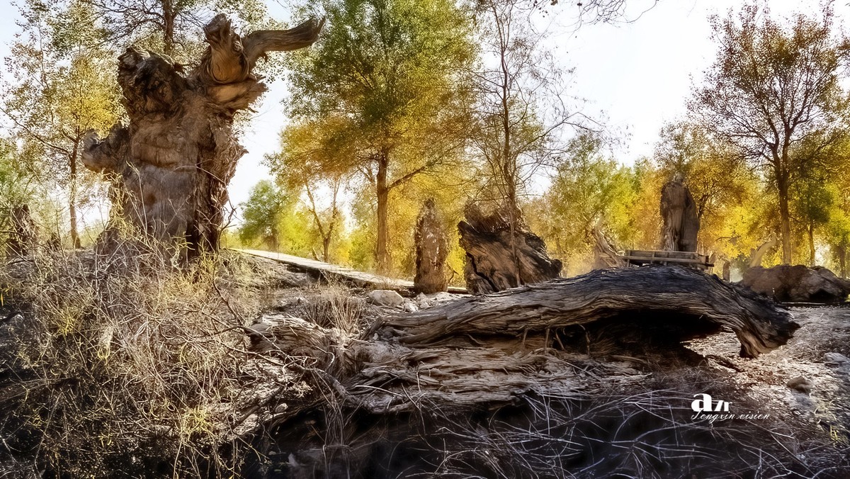 南疆行——阿克苏的刀郎部落（3）