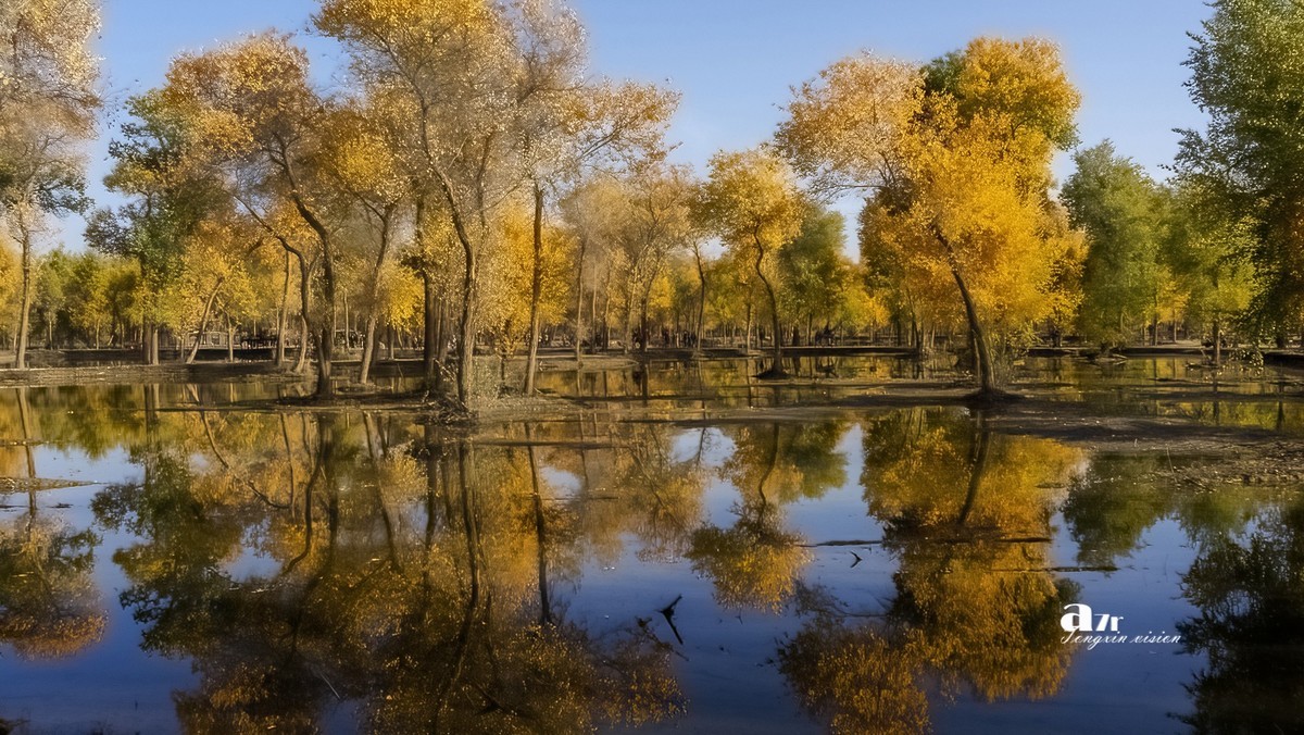 南疆行——阿克苏的刀郎部落（3）