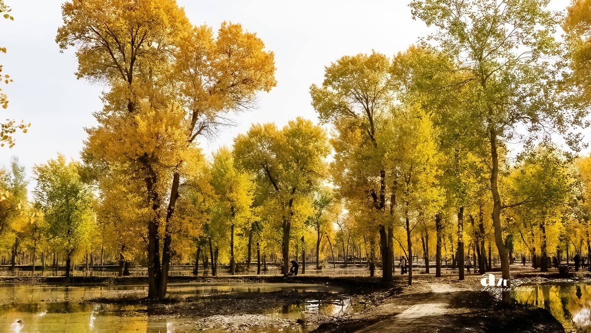 南疆行——阿克苏的刀郎部落（3）