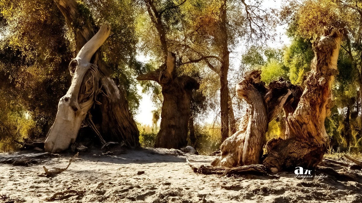 南疆行——阿克苏的刀郎部落（3）