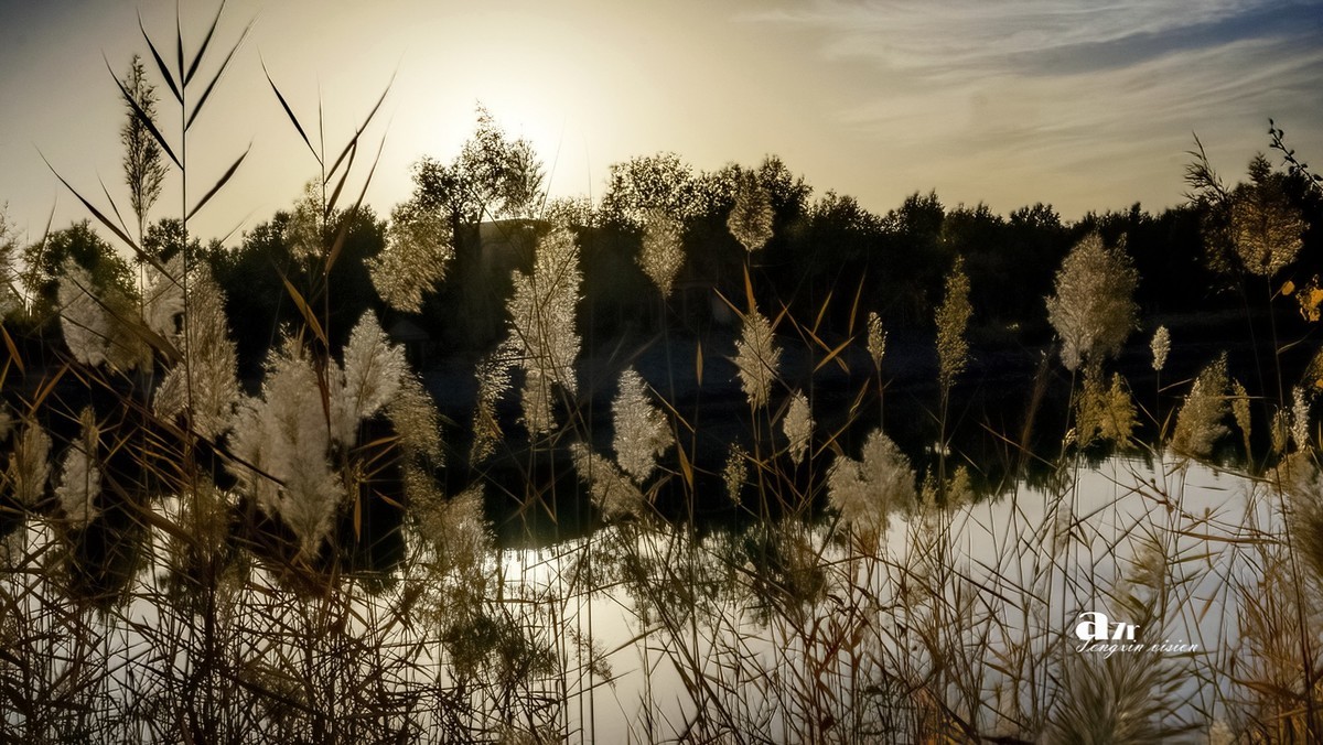 南疆行——阿克苏的刀郎部落（3）