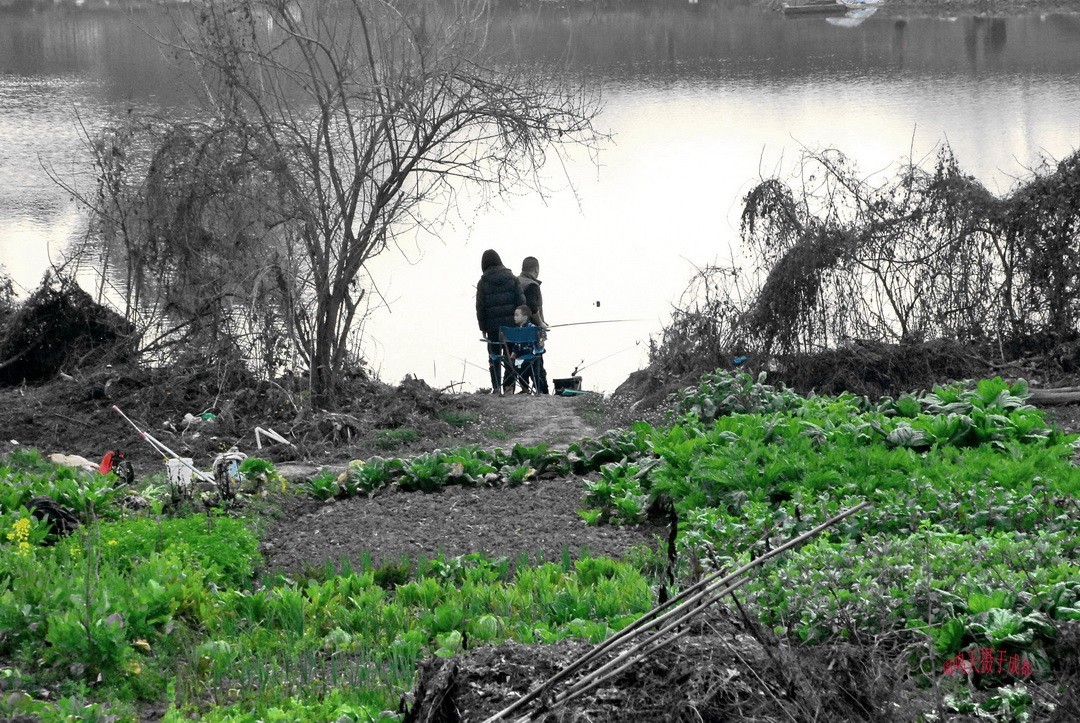 3月1号成都晒太阳