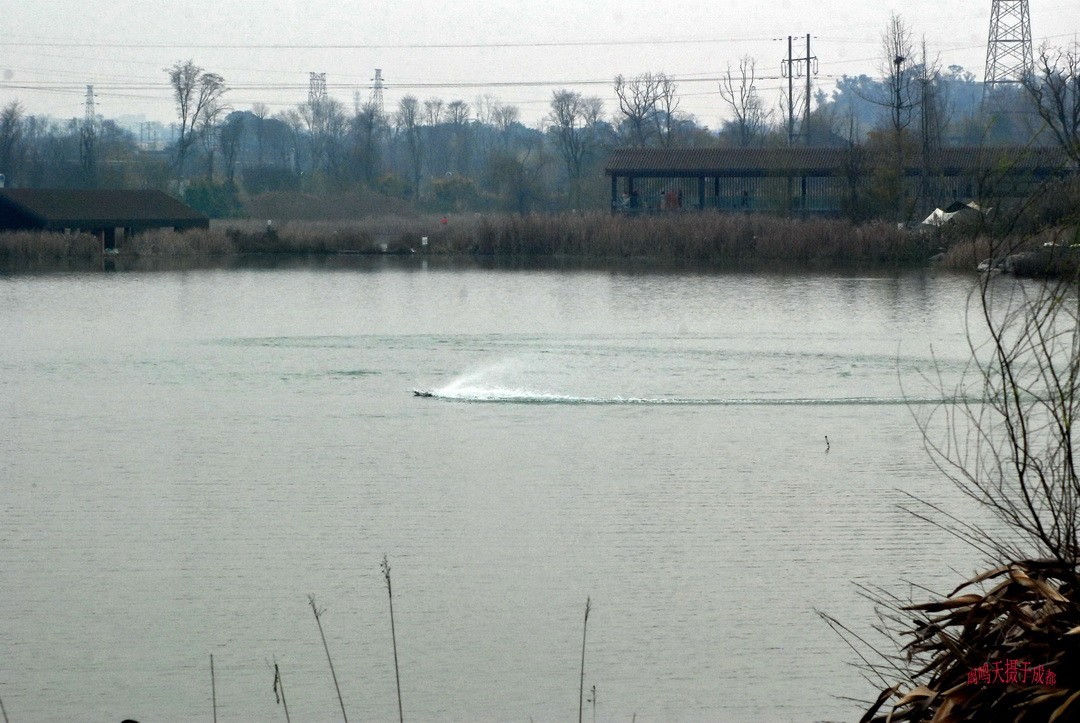 3月1号成都晒太阳