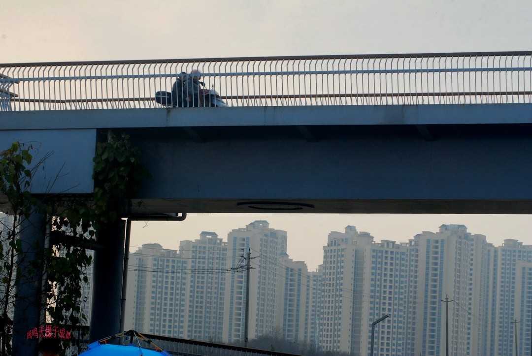 3月1号成都晒太阳