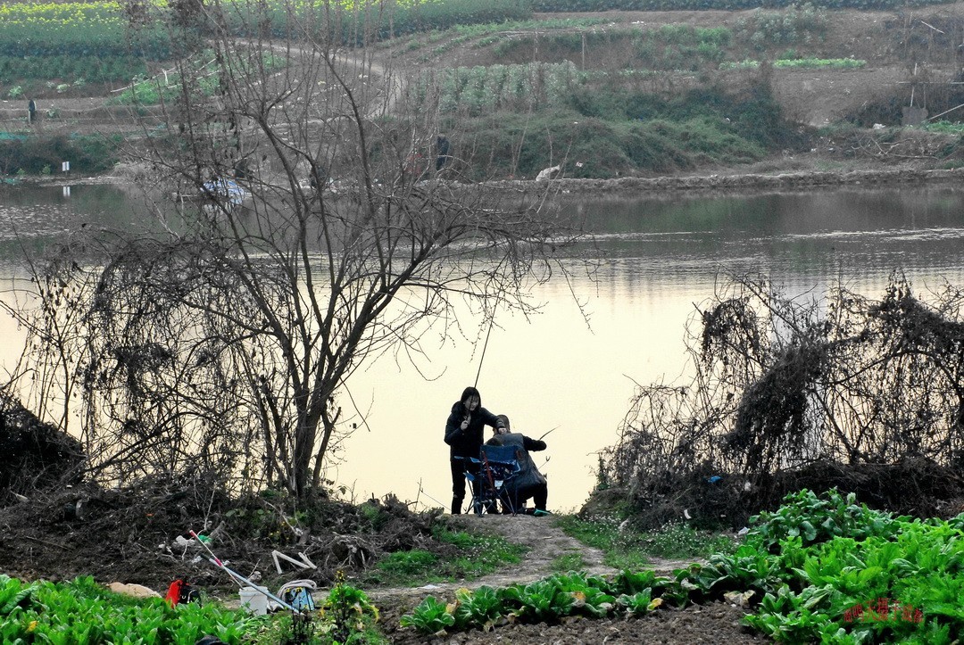3月1号成都晒太阳