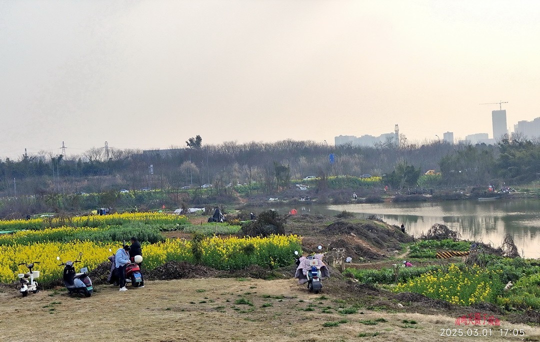 3月1号成都晒太阳