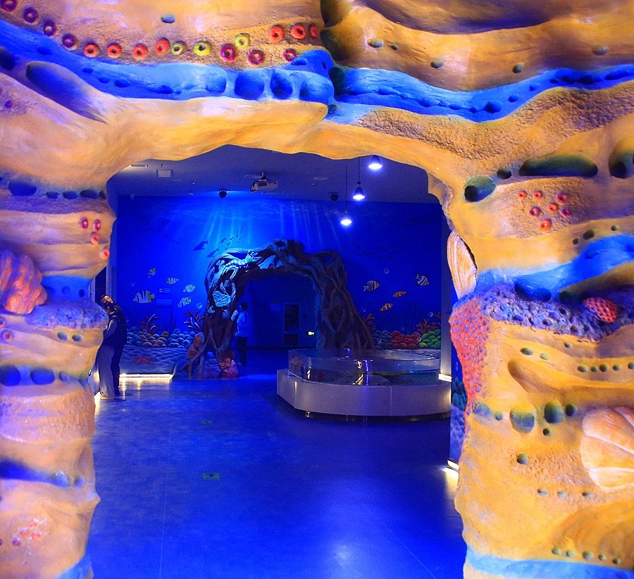 《不老松：纪实摄影》【山河锦绣】（19）雄安郊野公园：海洋舘！