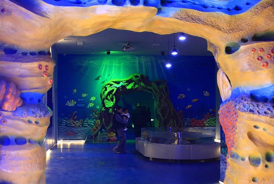 《不老松：纪实摄影》【山河锦绣】（19）雄安郊野公园：海洋舘！