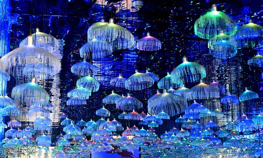 《不老松：纪实摄影》【山河锦绣】（19）雄安郊野公园：海洋舘！