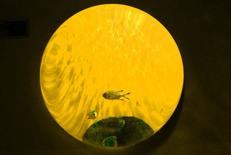 《不老松：纪实摄影》【山河锦绣】（20）雄安郊野公园：海洋舘：玻璃球中的魚儿！