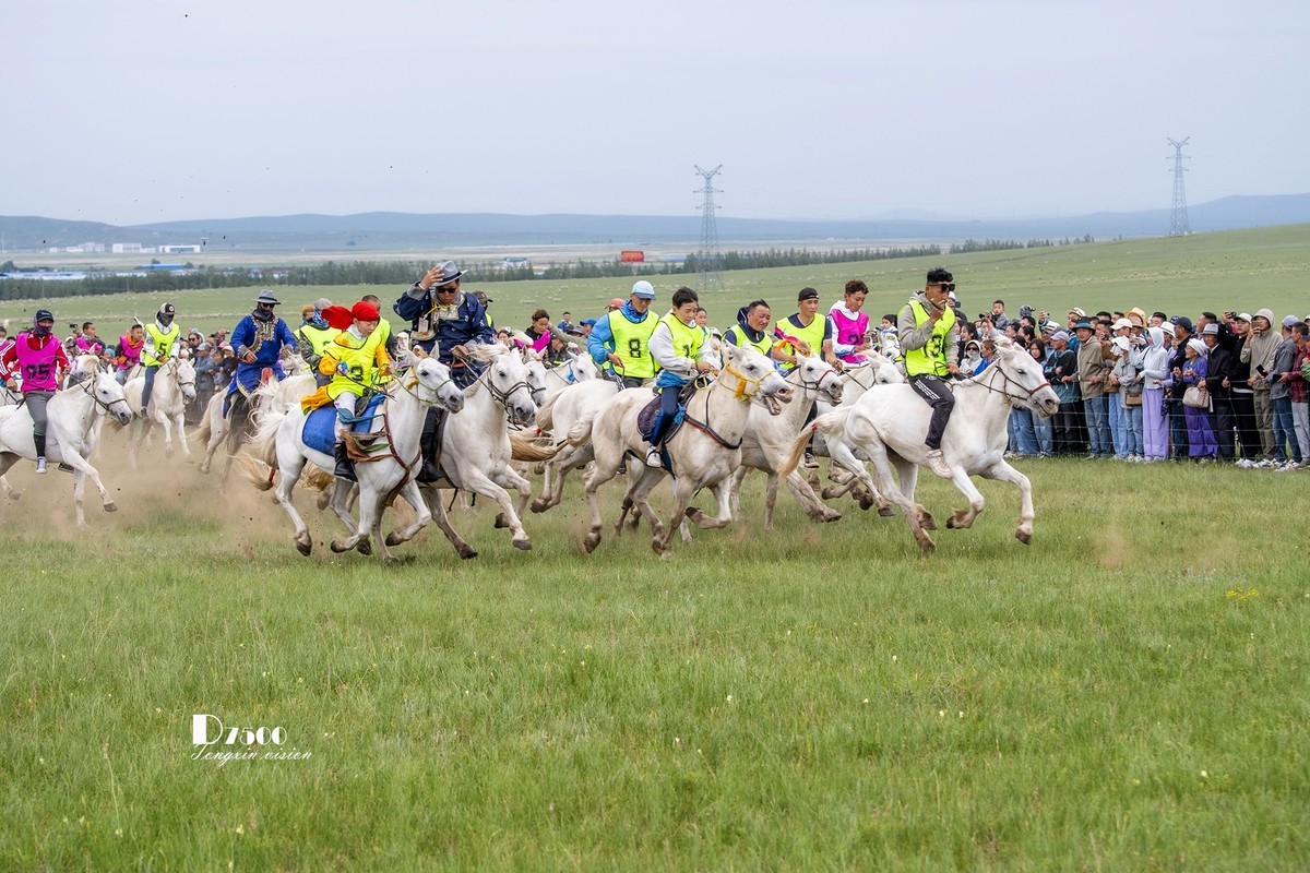 少年赛马手（5）