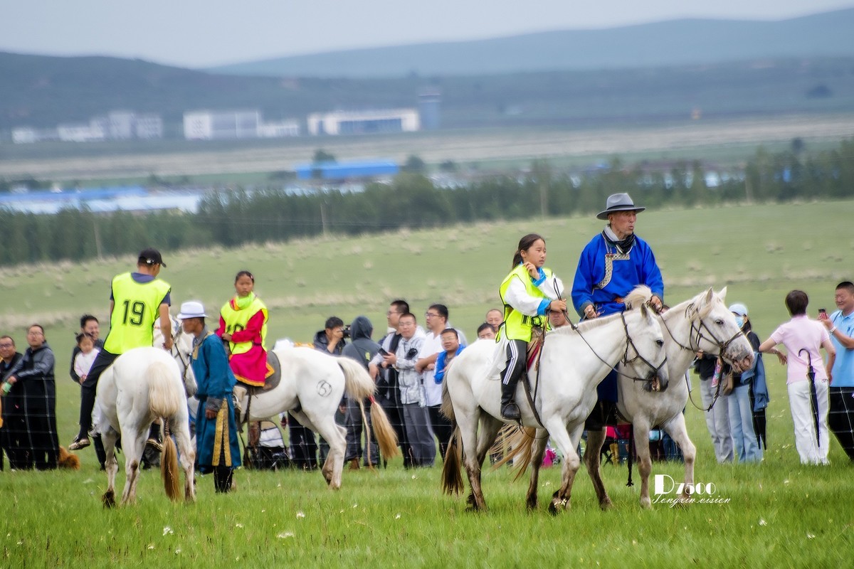 少年赛马手（5）