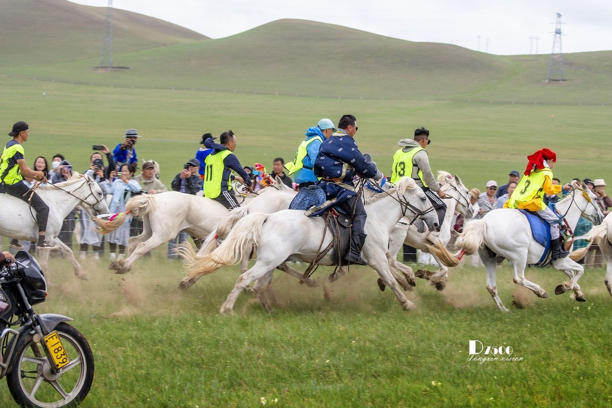 少年赛马手（5）