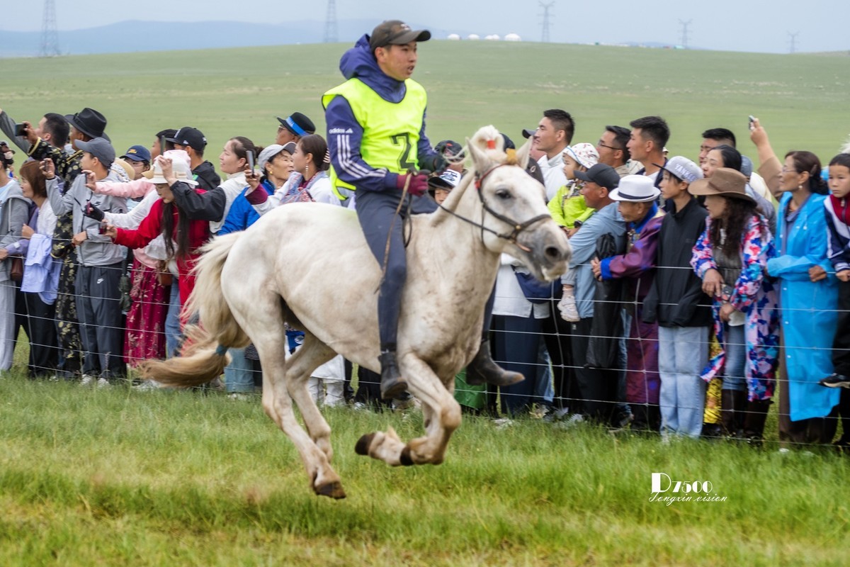 少年赛马手（5）