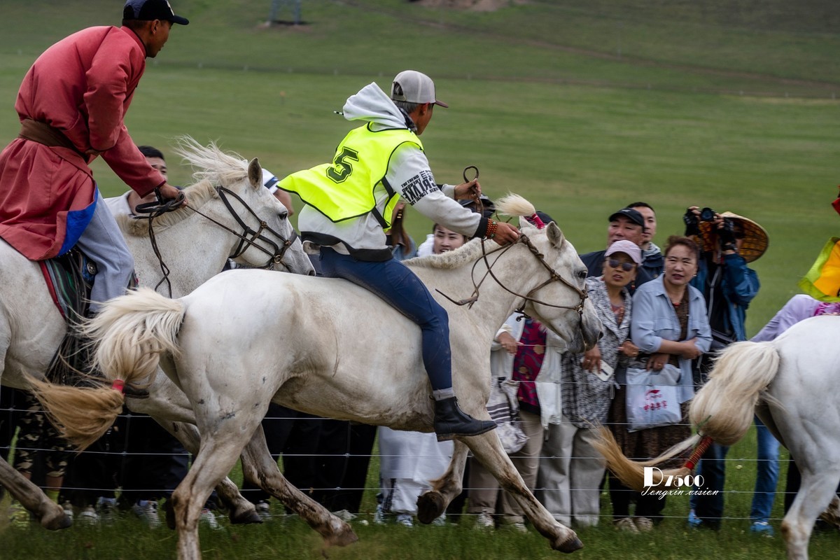 少年赛马手（5）