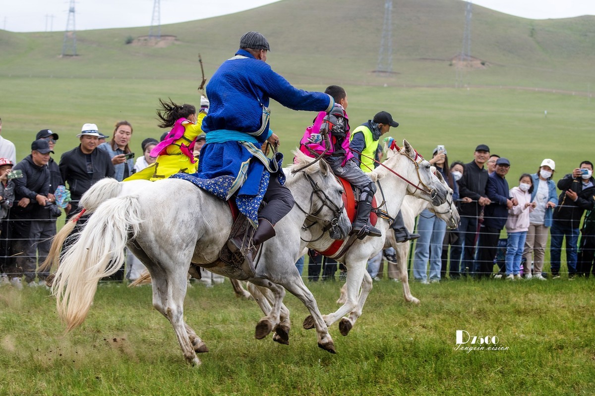 少年赛马手（5）