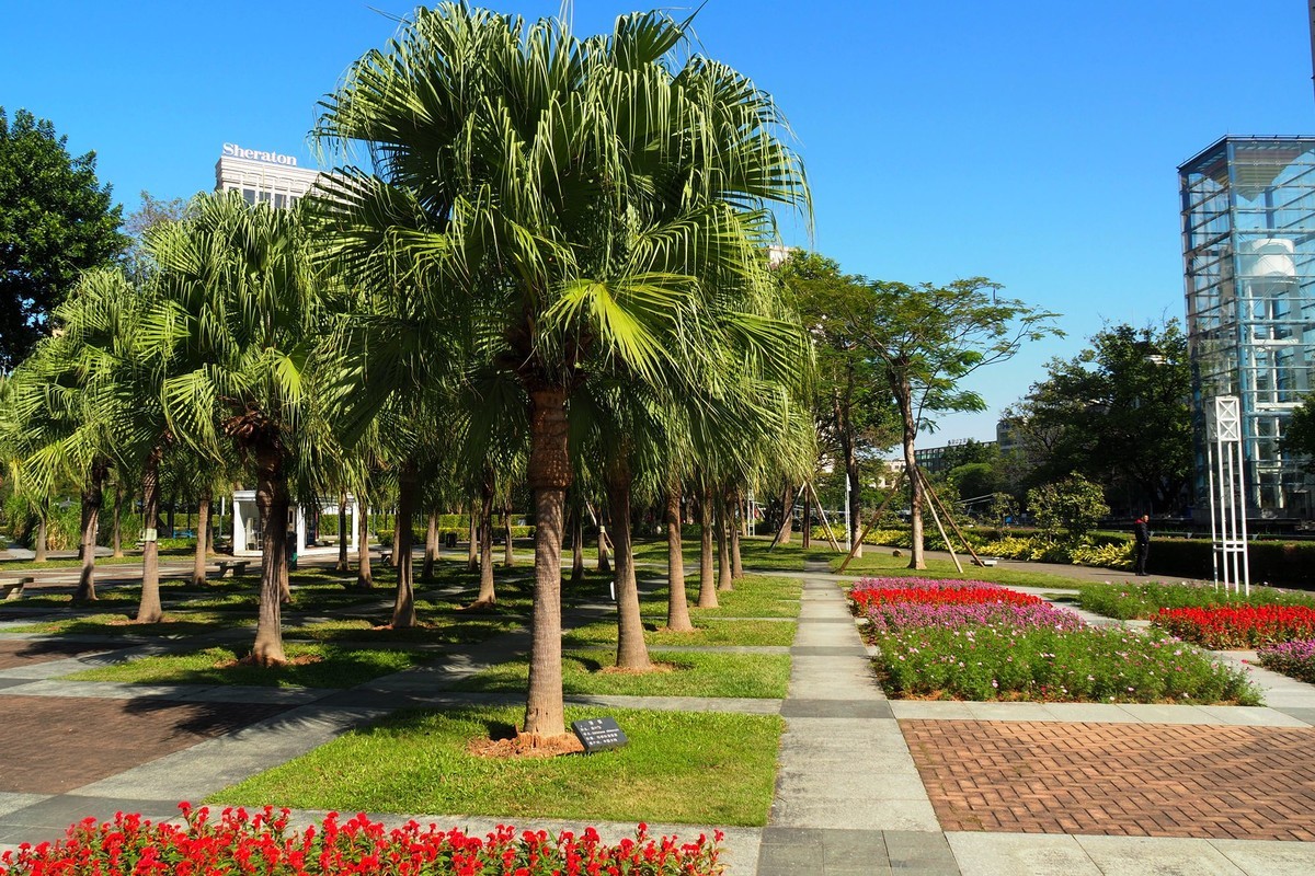 中山——岐江风光（6）