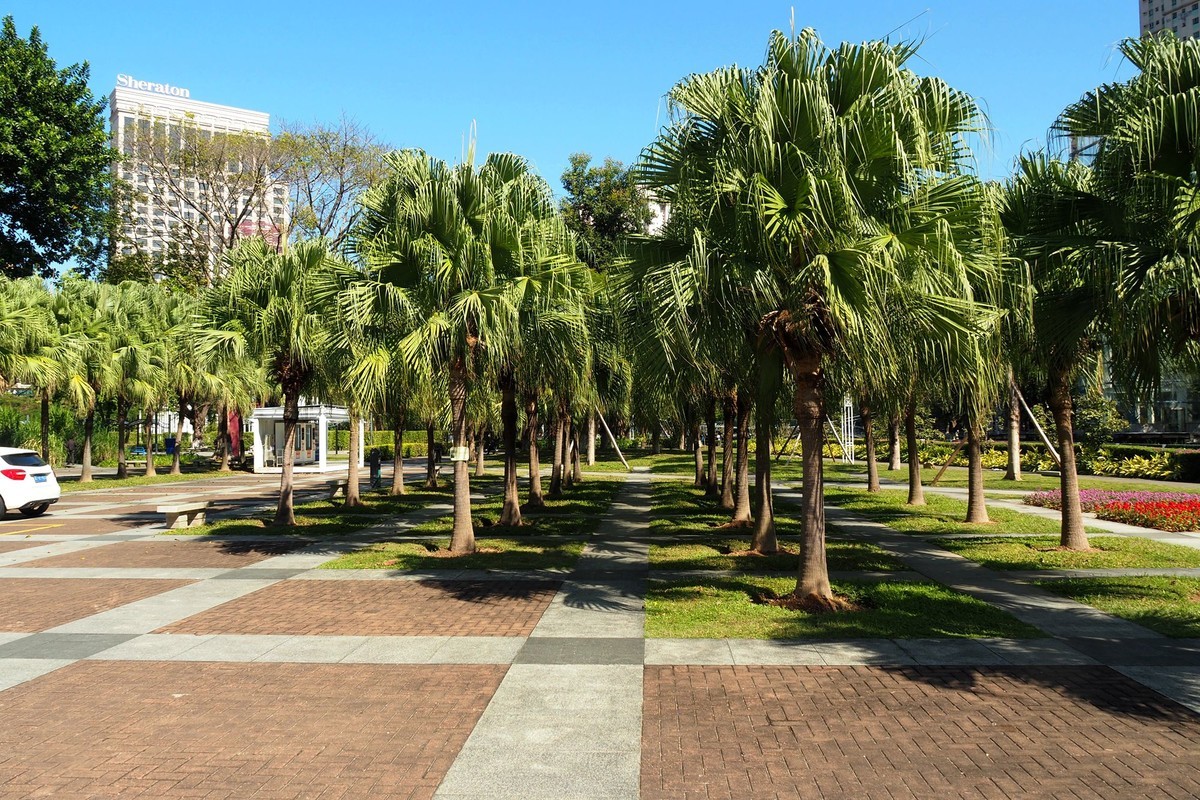 中山——岐江风光（6）