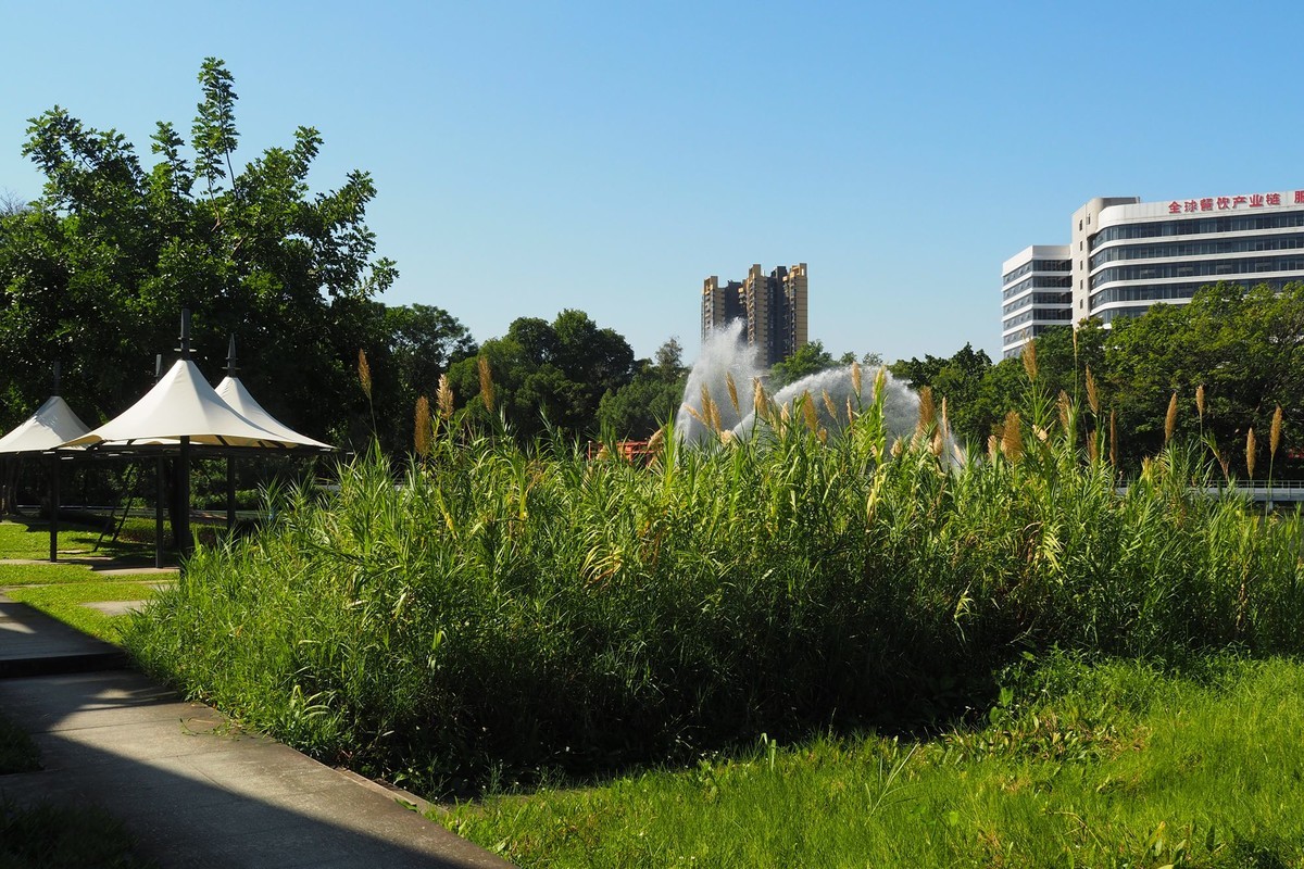 中山——岐江风光（6）