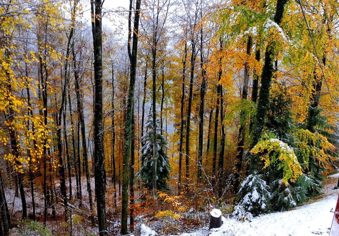 阿尔卑斯山脚下的风光