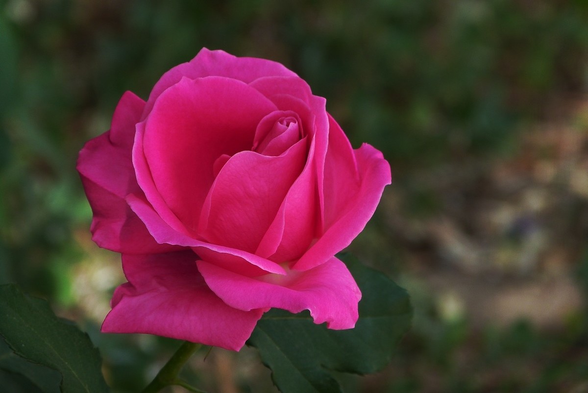 老卡片机仍然很不错的