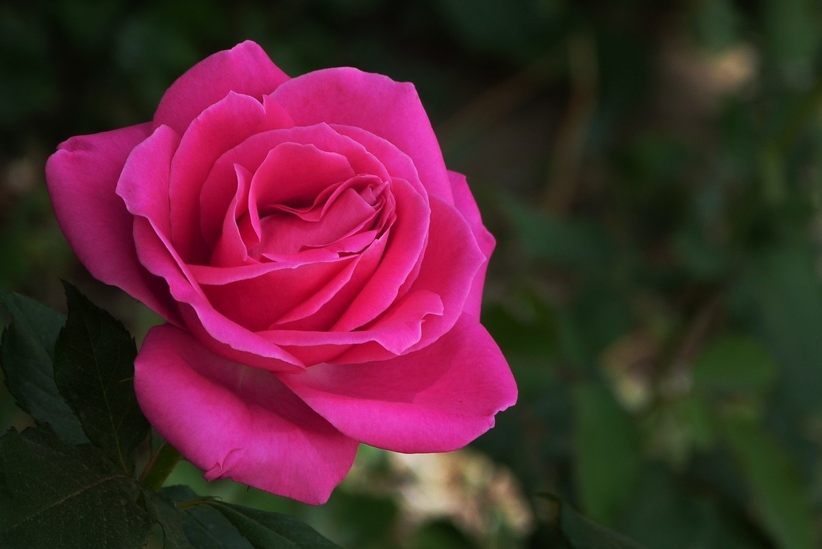 老卡片机仍然很不错的