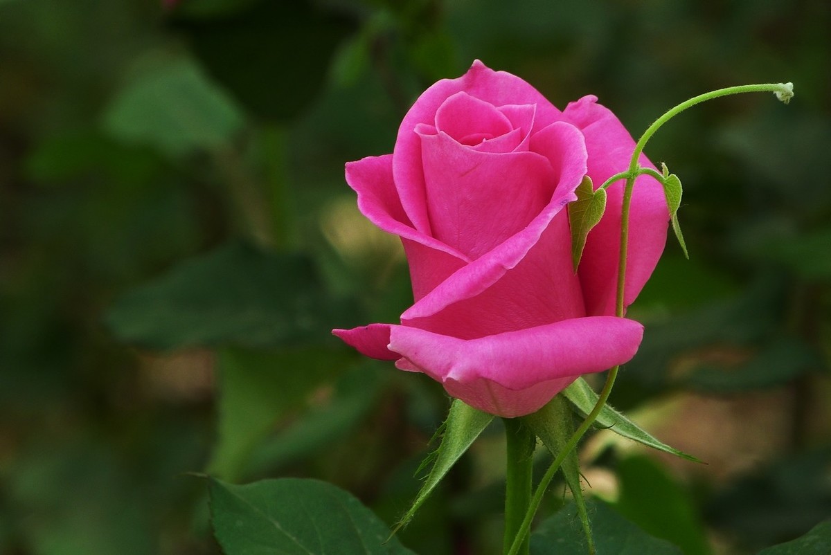 老卡片机仍然很不错的