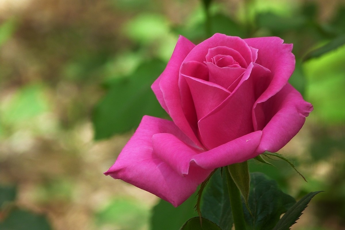 老卡片机仍然很不错的