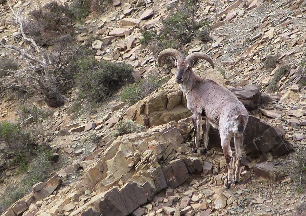 老卡片机仍然很不错的
