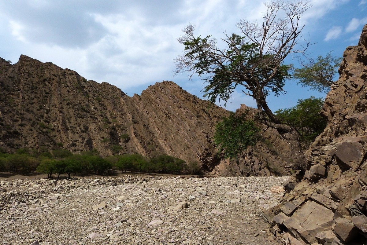 老卡片机仍然很不错的