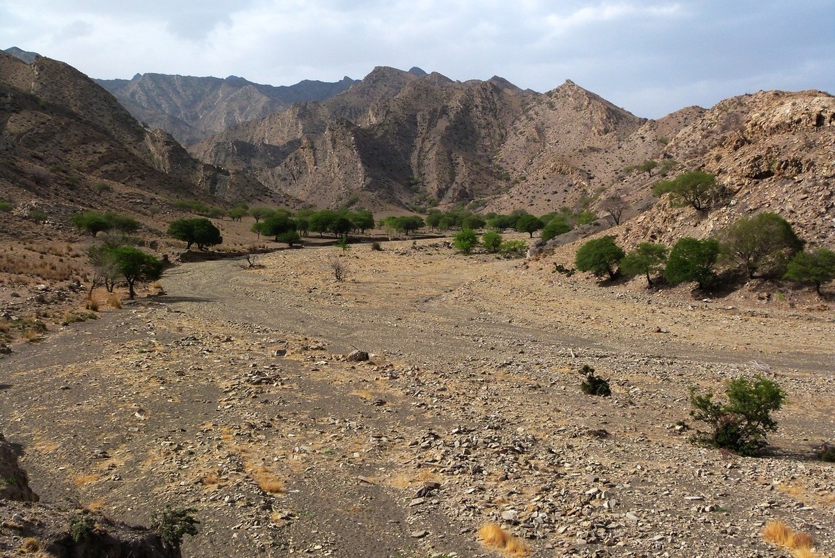 老卡片机仍然很不错的