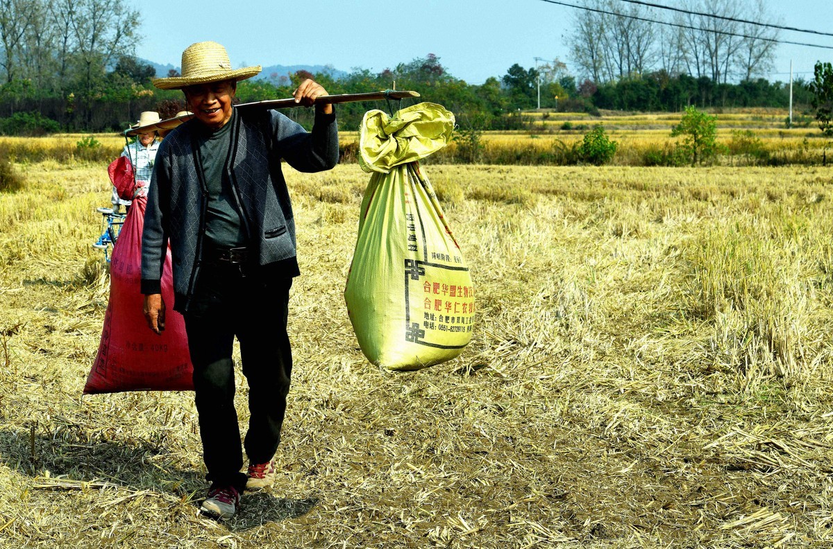 勤俭农民/拾稻穗
