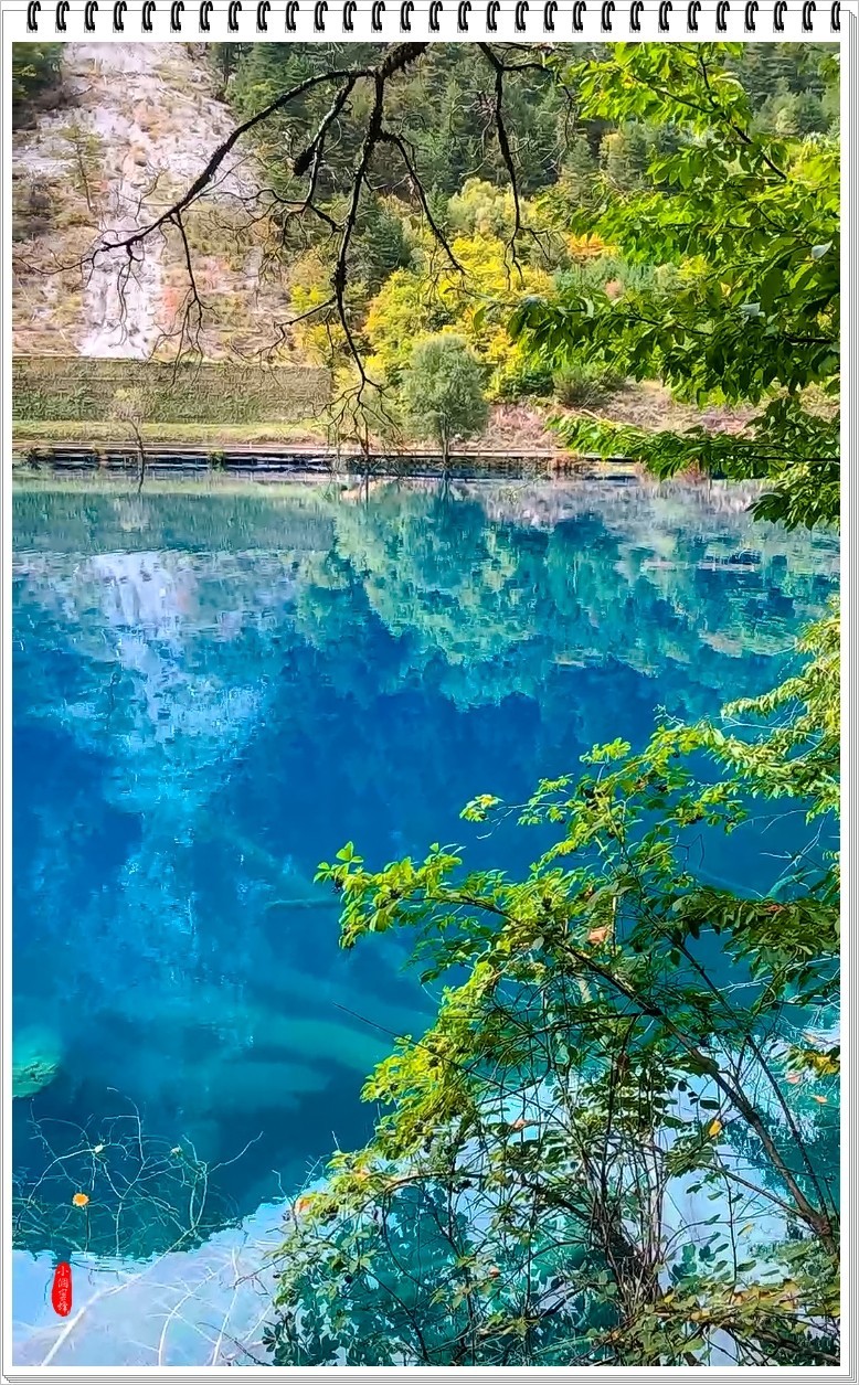 2022年九寨沟随拍-56