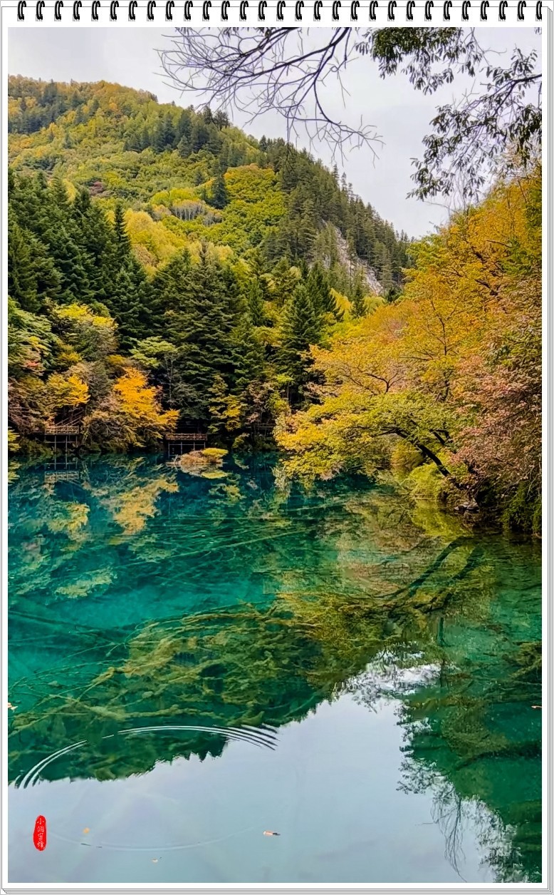 2022年九寨沟随拍-56