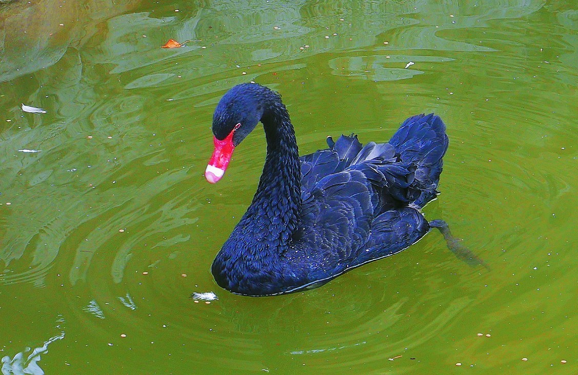 讨论贴《如何扫街抓拍美女》之一，响应夸父版主振兴活跃星空(中国)的号召活跃需要热闹！