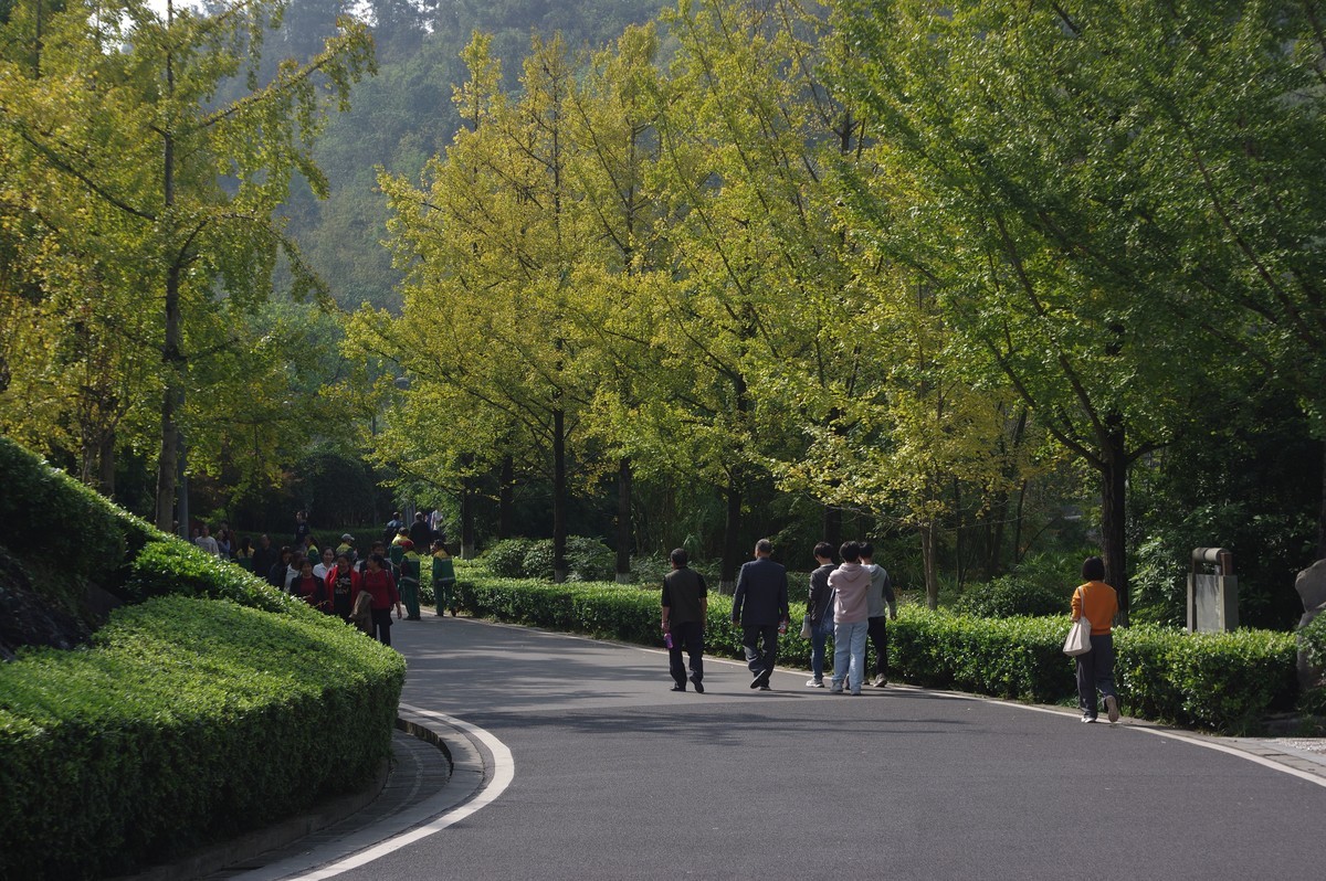 新淘的廉价标头，梅耶50，1.8试镜