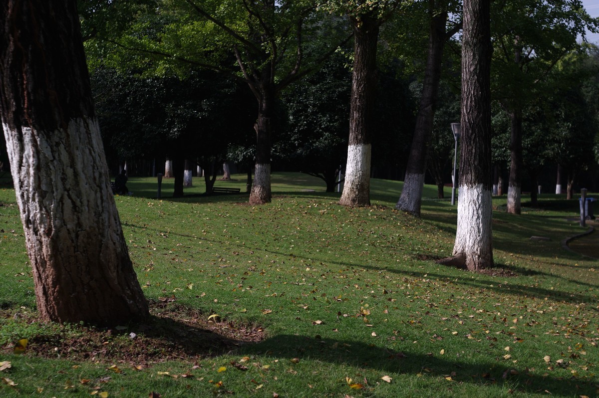 新淘的廉价标头，梅耶50，1.8试镜