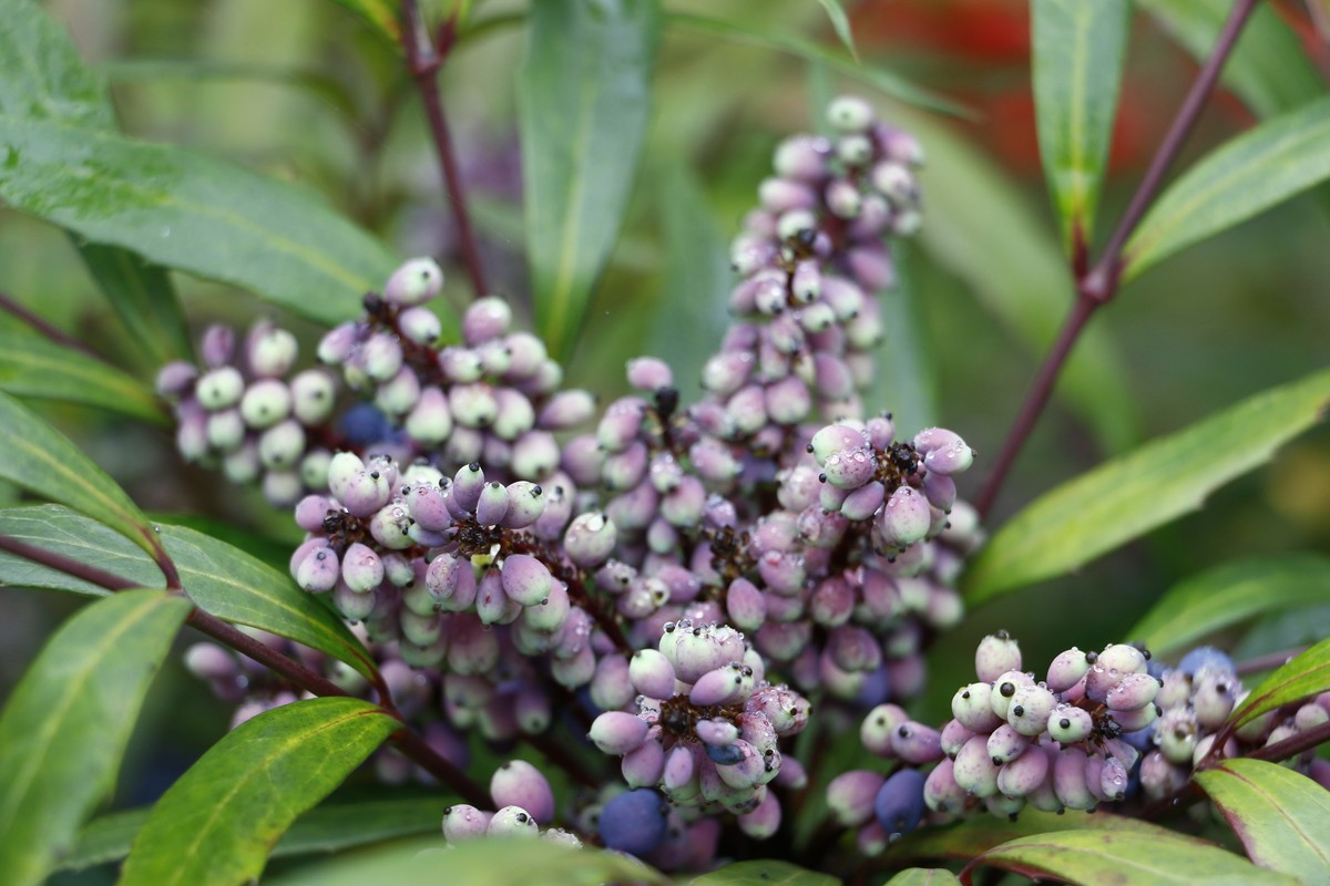 周末去矿山公园