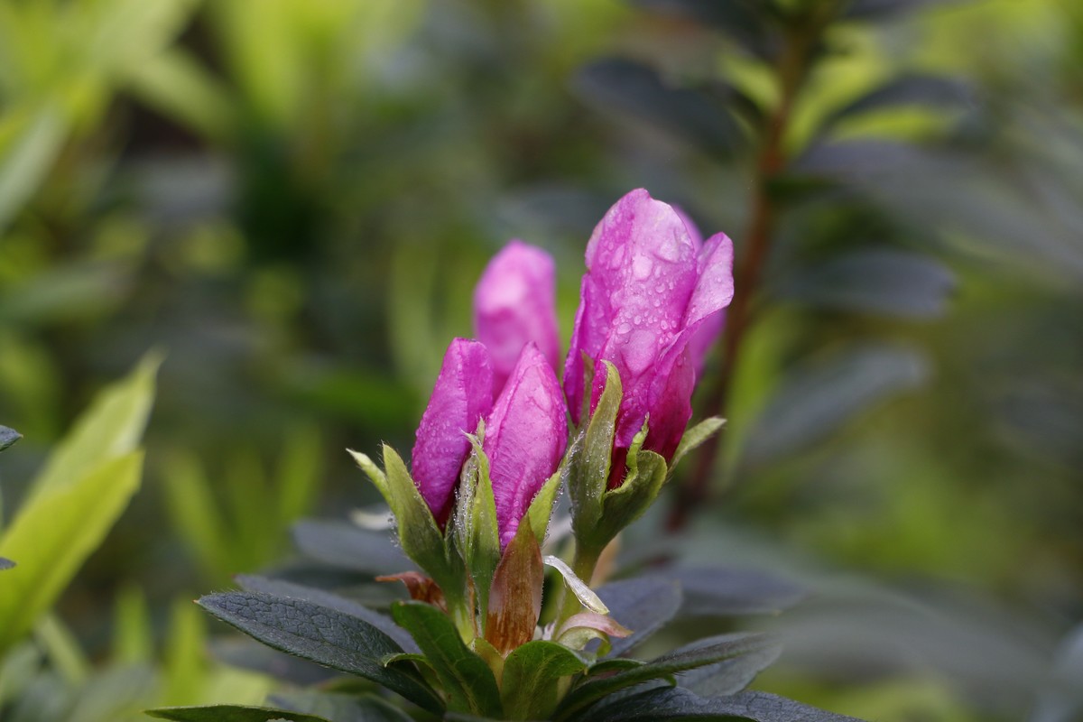 周末去矿山公园