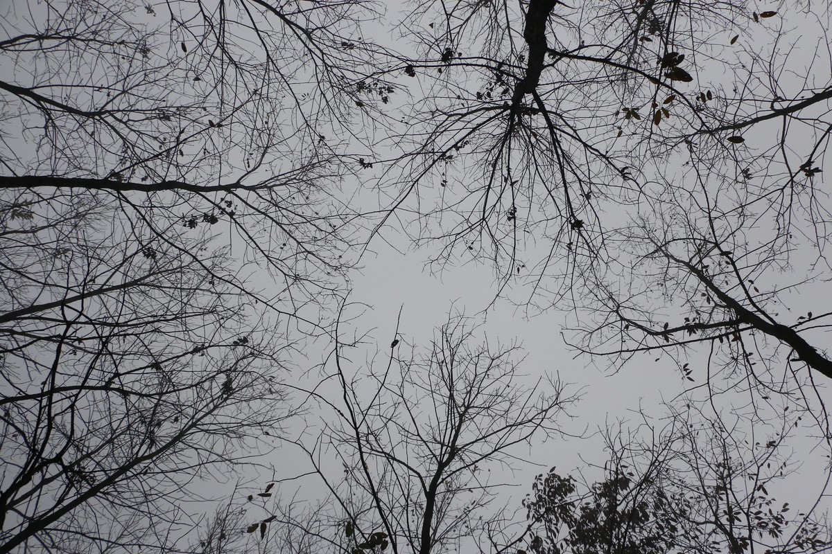 周末去矿山公园