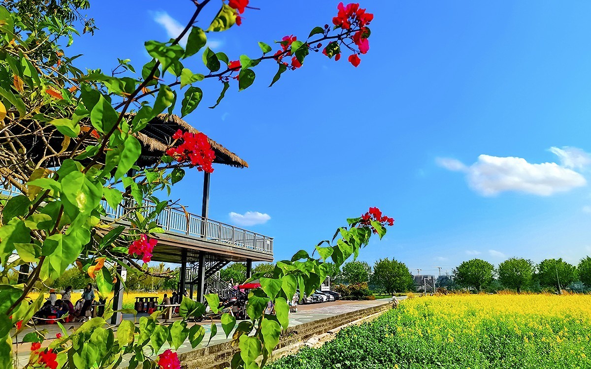 24077 ─ 乡村随拍[13]