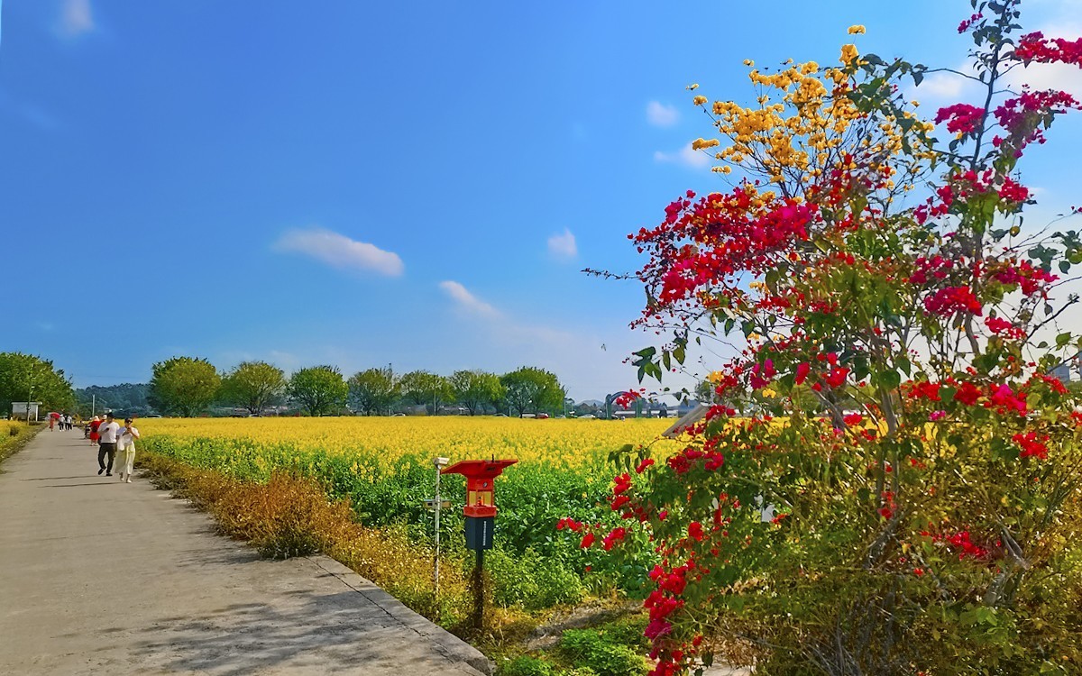 24077 ─ 乡村随拍[13]